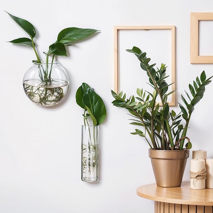 Baderke 6 Pcs Glass Wall Hanging Vase Indoor Propagation Planter with Hanging Suction Cup and Plastic Invisible Traceless Hanger for Hydroponic Flower Succulent Spring Summer Wedding Wall Mount Decor