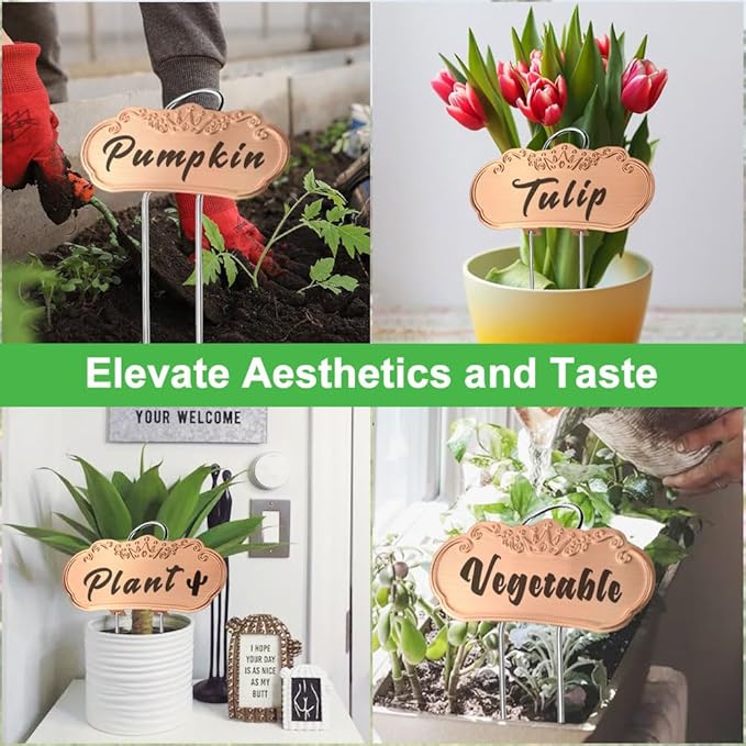 50 Packs Metal Plant Labels, Tall Outdoor Garden Markers for Flowers, Fruits and Vegetables, 304 Stainless Steel Weatherproof Signs (4" x 1.9", Gold)
