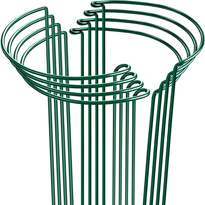 HiGift 8 Pack Plant Support Stakes, Half Round Metal Garden Plant Stake Indoor Peony Cages and Supports, Green Plant Support Ring Border for Tomato,Hydrangea,Flower Outdoor (10" Wide x 15.8" High)