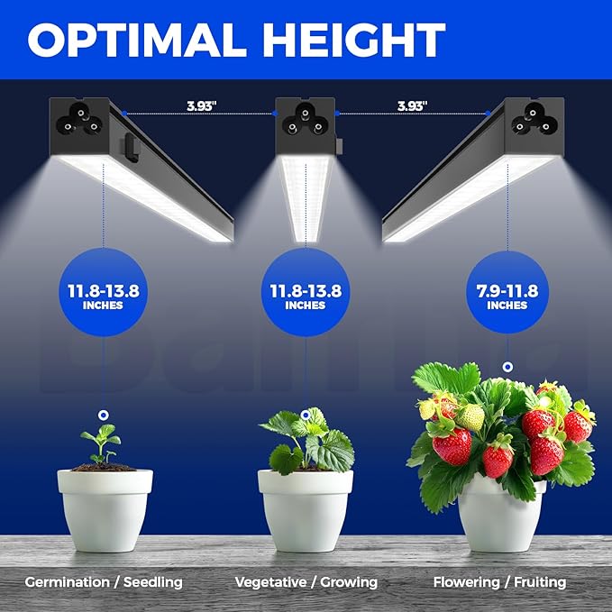 Barrina T5 Plant Lights for Indoor Growing, 1FT 10W (2 X 5W) Led Grow Light with Magnetic Design, Full Spectrum Grow Light Strip with Black Cover, Plug and Play, 5000K, 2 Packs