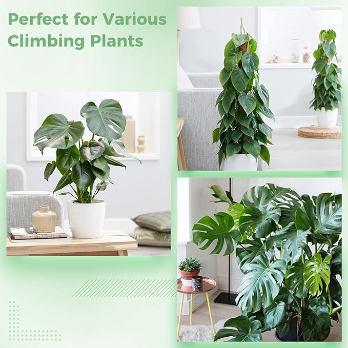 4 Pcs Plastic Moss Poles, 24″ Clear Sphagnum Moss Sticks for Indoor Climbing Plants, Stackable Hollow Plant Supports with 10ft Ties, Plant Moss Poles for Monstera, White