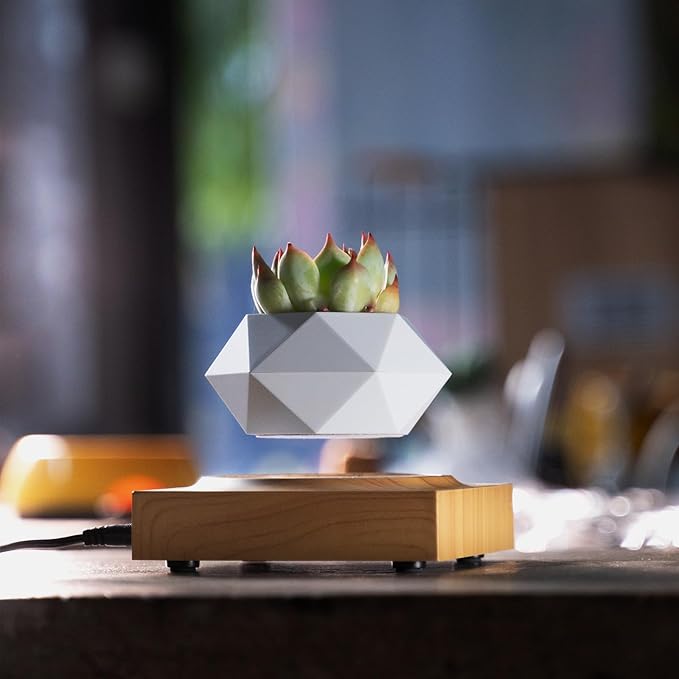HCNT Levitation Air Bonsai Pot, Magnetic Levitating Mini Rotating Flower Pot Planters Suspension Floating Succulents Pot Sky-Garden Plant Potted for Home, Office