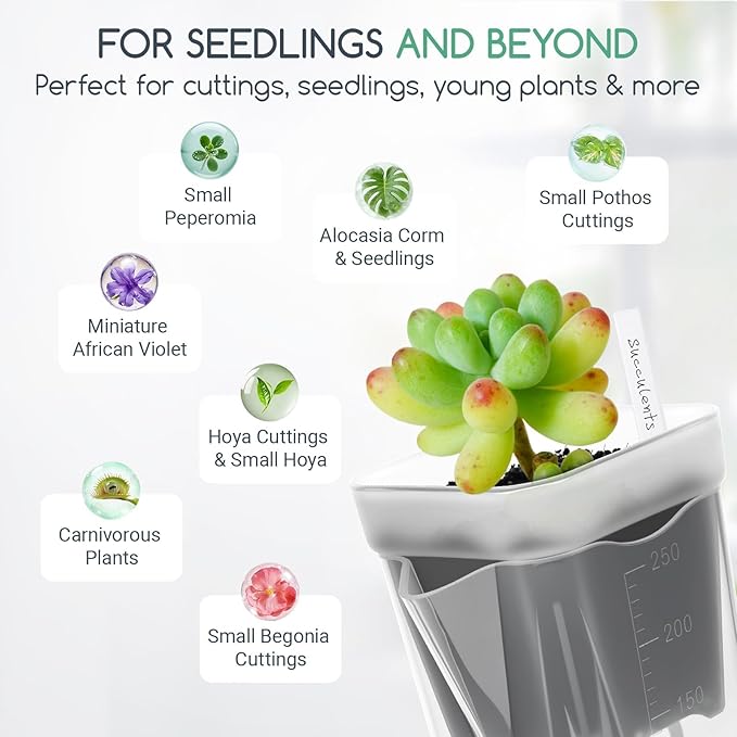 12 Pack 2.5" Small Self-Watering Planter Pots - Mini Clear Seed Starter Pots with Visible Water Level, Plastic Nursery Pots for Succulents, Herbs, and Propagation - Includes 12 Plant Labels