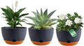 Nooulap 3 Pack Self Watering Planters for Plants Indoor,10 Inch Plant Pot Outdoor Plastic Flower Pot with Drainage and Saucers(Grey)