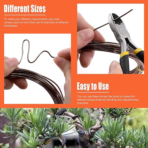 Tanstic 6Pcs Bonsai Training Wire Kit, 0.8mm, 1mm, 1.5mm, 2mm, 3mm 82 Feet Total Aluminum Bonsai Wires with Wire Cutter for Bonsai Trees Indoor(16.4 Feet for Each Roll)