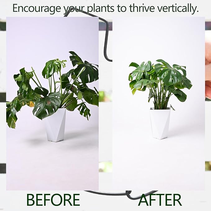 Yohsnor 5PCS Black Monstera Plant Stem Support 9x7.6in - Adjustable & Durable Indoor Plant Stake for Cactus and Climbing Plants - Ideal Leaf Support for Gardening & Home Decor