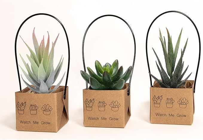 100Pcs Watch Me Grow Succulent Wrap, Fits 2 Inch Pots Succulent Wrap Bag with Plastic Handle Kraft Paper Sleeve SucculentTags for Shower Party Favors Ideas(100PCS)