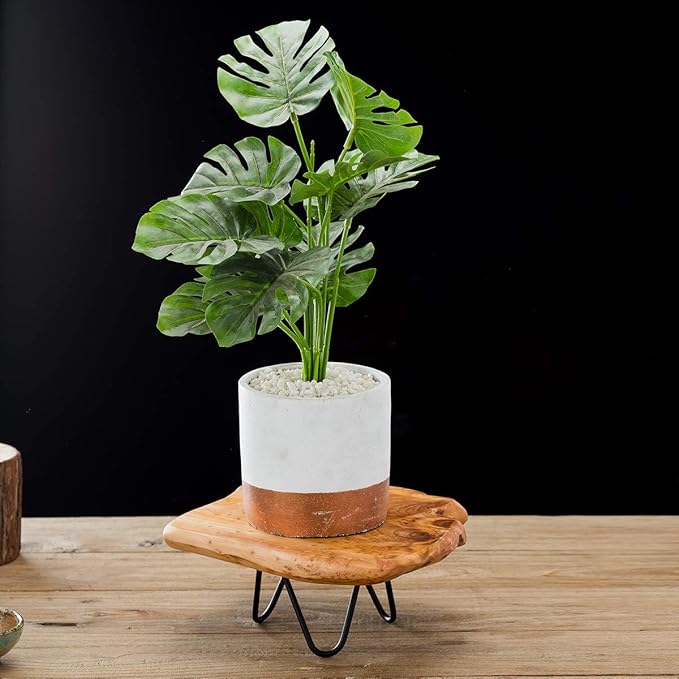 TJ Global Natural Edge Wooden Stand with Hairpin Legs for Displaying Cakes, Plants, Candles, Decor (L10 x W9 x H5)
