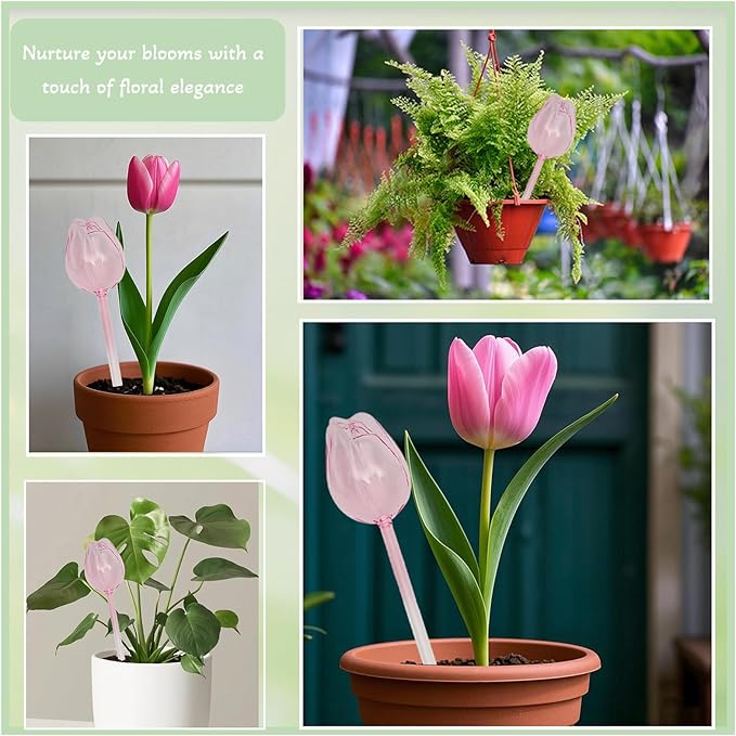 2 Pack Glass Plant Watering Globes, Self Watering Planter Insert Devices, Automatic Watering Bulbs for Indoor Plants, Plant Accessories, Flower Water Tubes, Water Plants Spikes While Away