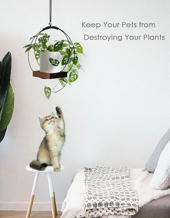 Hanging Planter - Plant Hanger Indoor Hanging Plant Holder for Window Wall Celling Decor (Brown, 1 Pack)