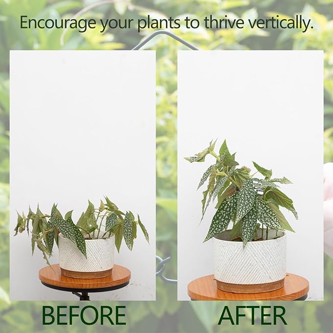 Yohsnor Monstera Plant Stem Support Set - 5pcs 4.13x2.95 inches Durable Supports for Indoor Climbing Plants - Easy-to-Use Stabilizers for Healthy Growth and Elegant Garden Decor