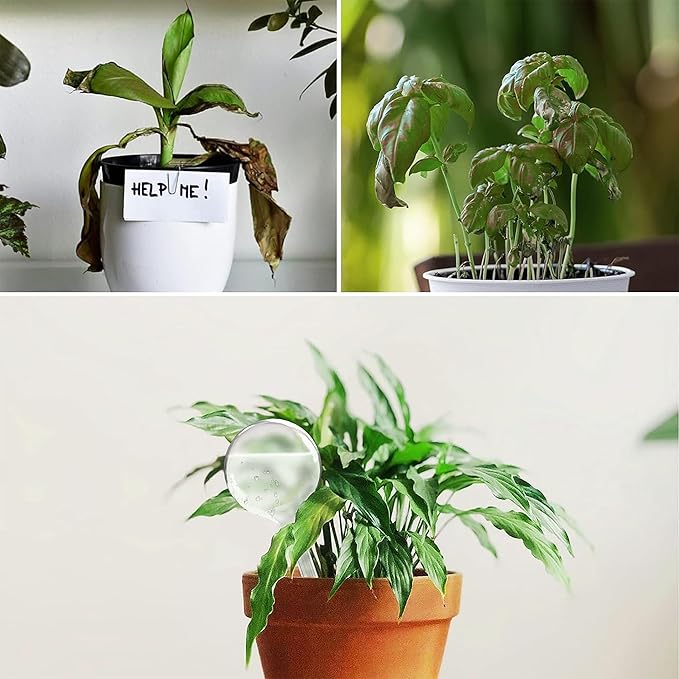 AOPANDA Plant Watering Globes, Self Watering Flower Pot Insert, Plastic Self Watering Bulbs, Large Capacity, for Indoor and Outdoor Plants,3pcs