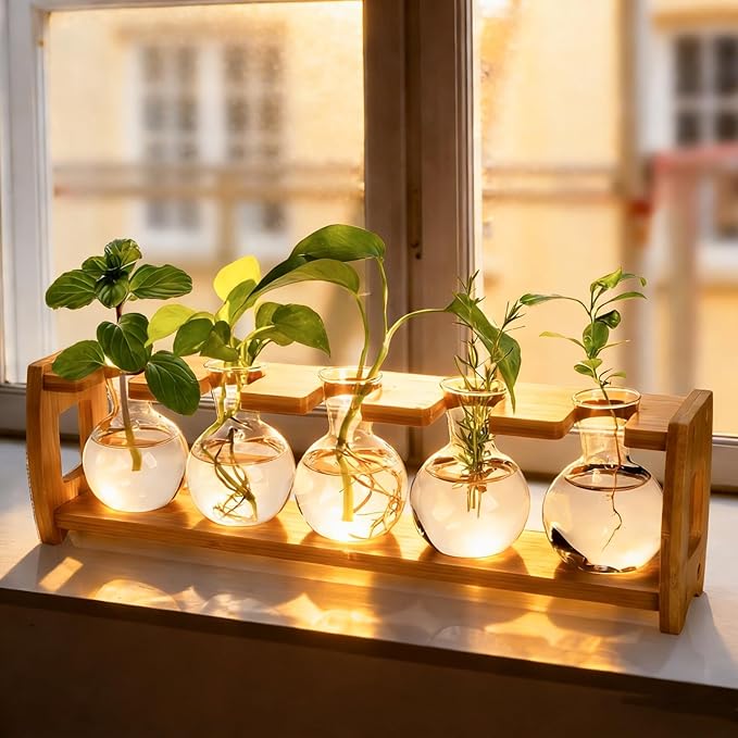 Pumtus 2 Pack Propagation Stations with Bamboo Stand, 8 Bulbs Desktop Water Plant Terrarium Vase, Retro Plant Propagation Jars for Indoor Plants, Glass Planter Gifts for Home Office Table Decor