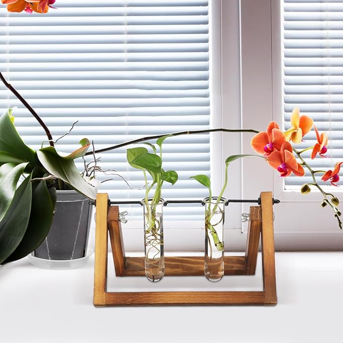 Housoutil Glasstubes for Plants, 5PCS Propagation Tubes for Plants, Glass Test Pipe Vase for Scientific Experiments, Desktop Party Home Office Decor, Flowers Desktop, Indoor Hydroponic Station