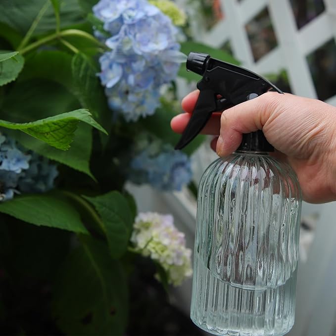 OFFIDIX Watering Can for Indoor Plants,Long Spout Metal Stainless Steel 21 oz Watering Can with 14 oz Glass Plant Mister Spray Bottle for House Plant Bonsai