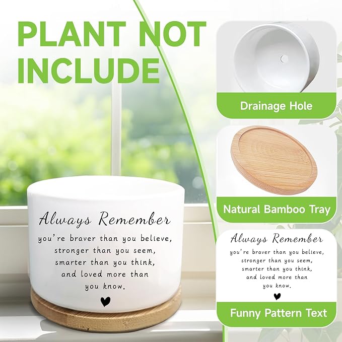 Inspirational Gifts for Women, Cute Succulent Plant Pot, Cactus Flower Planter for Plant Lover, Gardening Motivational Encouragement Cheer Up Gift for Women Men Friend (Plants Not Included)