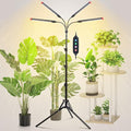 4Head Grow Light with Stand, Grow Lights for Indoor Tall Plants, Bonsai Tree, 4/8/12/16/20H Timer, 36 Watt Power Draw, NO Need Adapter, Bright and Big Coverage, Best Gift for Plants Lover