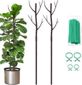Plant Support Stakes for Indoor Plants,Trellis for House Potted Plants Flower,Monstera Support Sticks with Orchid Clips,Twist Ties(2 Pack Brown)
