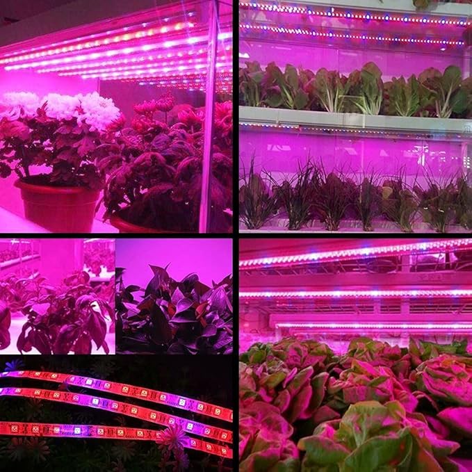 DC 12V LED Grow Light 5M LED Strip Light Full Set Flexible Tape 5050 LED Phyto Plant Growth Lamps for Greenhouse Hydroponic Plant Light (4：1 Full Set, IP65 Waterproof)