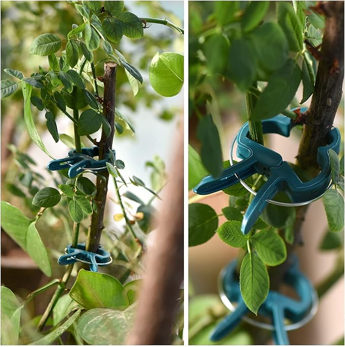 PERSZEN Plant Support Clips, 80 PCS Gentle Flower Plant Clamps for Supporting Vine Climbing Plants, Gardening Lever Loop Gripper Clips Help Stems Vines Grow Straight Upright, 2 Sizes in one Pack