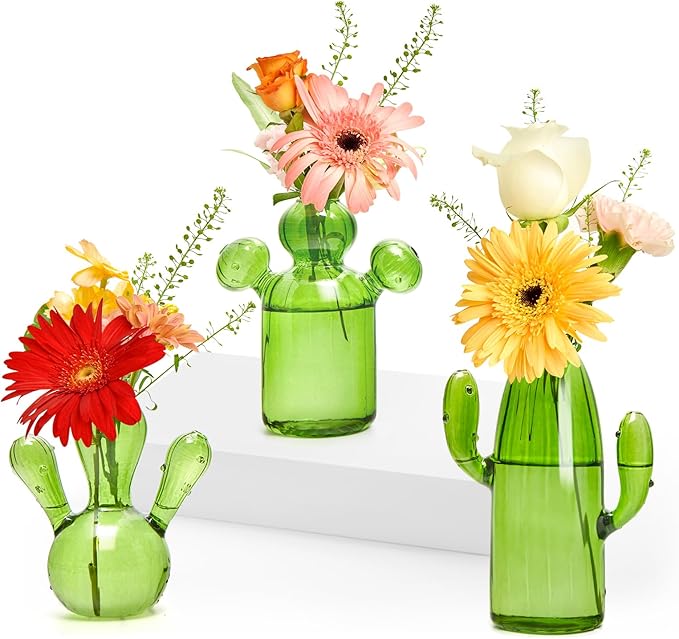 XXXFLOWER Cactus Plant Propagation Station Terrarium Jars for Plant Cuttings Air Plant Holders Unique Glass Flower Vase for Hydroponics Plants for Plant Lovers Home Garden Decor