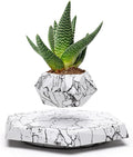 BandDlevs Floating Pots for Plants - Levitating Pot - Levitating Planter for Bonsai, Succulents, Air Plants - Floating Magnetic Display for Home Office Desks -Magnetic Levitation Plant Holder (Marble)