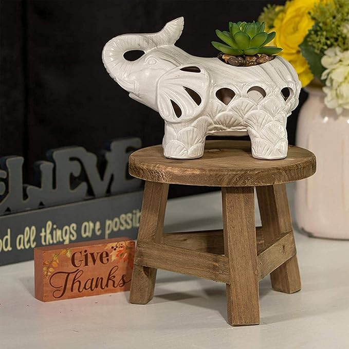 Wooden Stand, High Stool Stand Multi-Function Flower Pot Holder, for Decoration Living Room