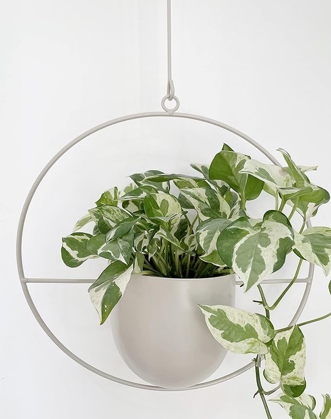 RISEON Boho White Metal Plant Hanger,Metal Wall and Ceiling Hanging Planter, Modern Planter, Mid Century Flower Pot Plant Holder, Minimalist Planter for Indoor Outdoor Home Decor…