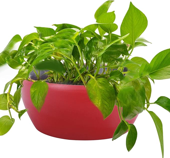 Vencer 11 Inch Plastic Round Self Watering Planter,Water Indicator,Modern Decorative Planter Pot for All House Plants Flowers, Herbs, Vegetables, Tropical,Red,VF-048R