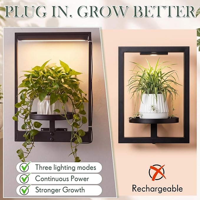 3 Pack Wall Plant Holders with Remote Grow Lights, Indoor Plants Holders, Plants Shelves Hanging Planters, Wall Mounted Framed Plant Holder for Indoor Living Room Decor