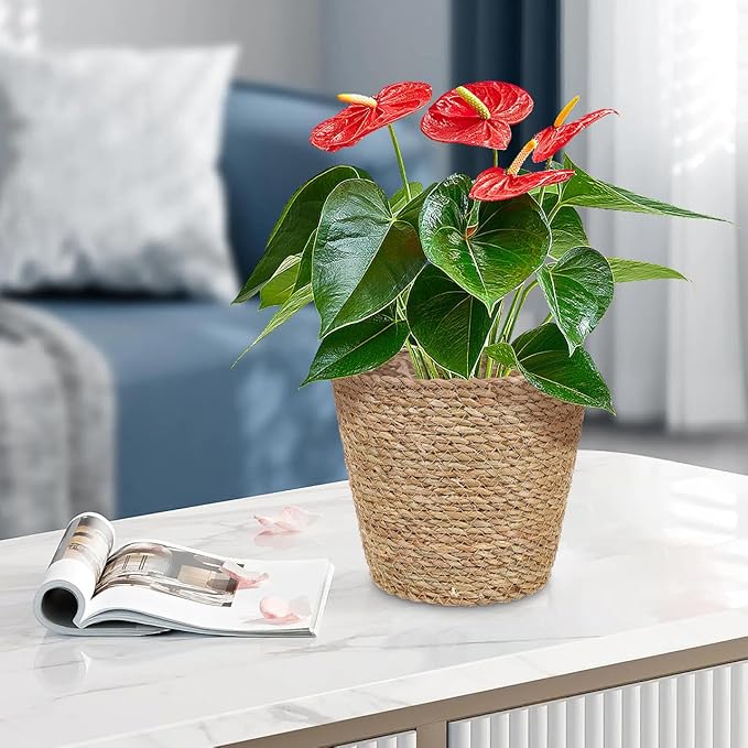 Hemoton Rattan Planter Basket Wicker Plant Flower Pot 8.7 Inch Seagrass Woven Indoor Planter for Home Decor and Succulent Plants
