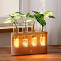 Rechargeable Plant Propagation Station with Stepless Dimming LED Light, Wooden Stand, 4 Glass Test Tubes, Home Decor for Hydroponic Plants, Unique Gifts for Women & Plant Lovers