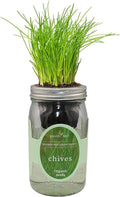 Hydroponic Herb Growing Kit, Self-Watering Mason Jar Herb Garden Starter Kit Indoor, Grow Your Own Herbs from Organic Seeds (Chives)