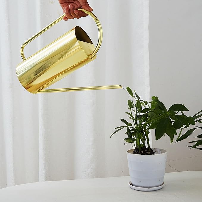 Watering Can for Indoor and Outdoor Plants - 1500ml Large Capacity Stainless Steel Pot With Long Spout for Bonsai and Garden (Gold)