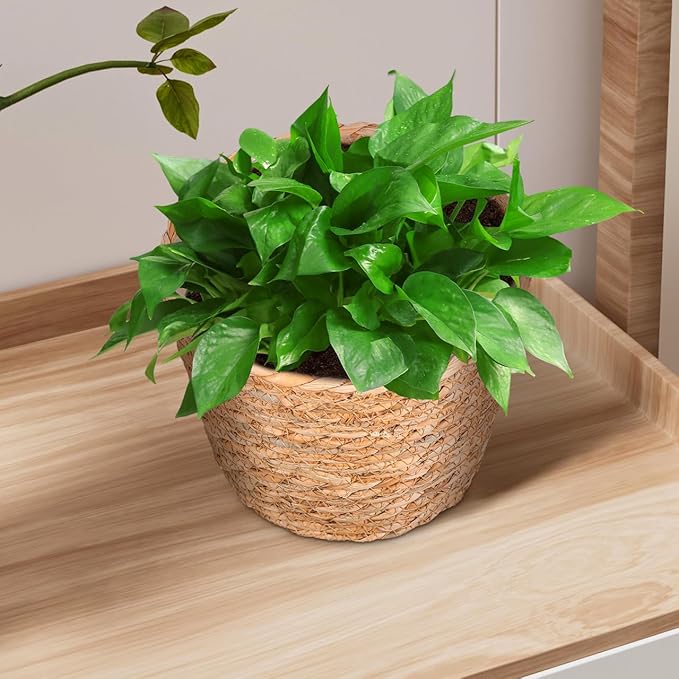 BESPORTBLE 2pcs Woven Rattan Flower Basket for Indoor Plants Decorative Plant Baskets Design Multi-Functional Storage
