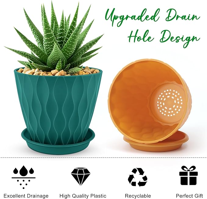 YNNICO 6 inch Plant Pots, 6 Pack Flower Pots Outdoor Indoor, Planters with Drainage Holes and Tray Saucers-Multicolor