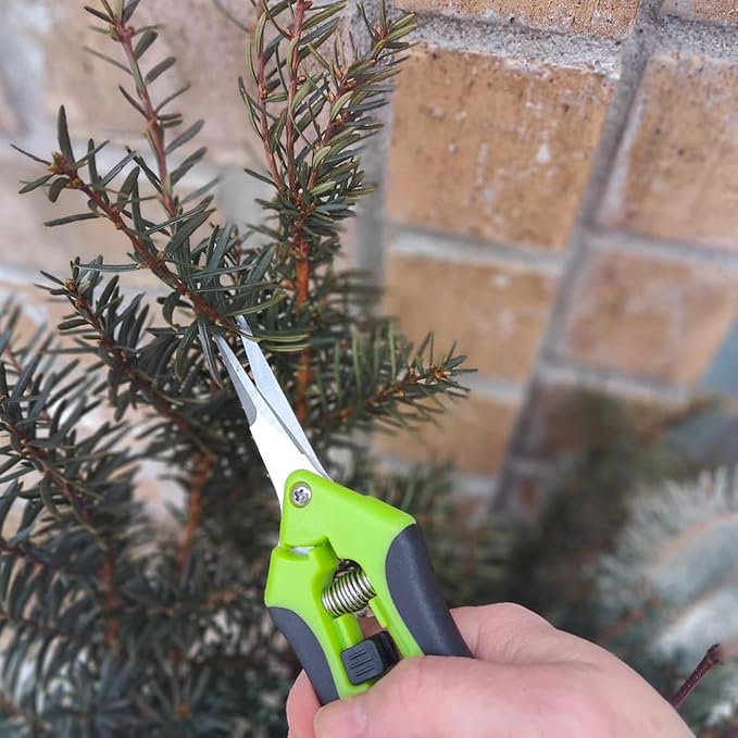 15 PCS 6.5 inch Garden Trimming Scissors, Gardening Hand Pruners with Straight Stainless Steel Precision Blades, Pruning Shears for Flowers Branches Precise Cuts, Green