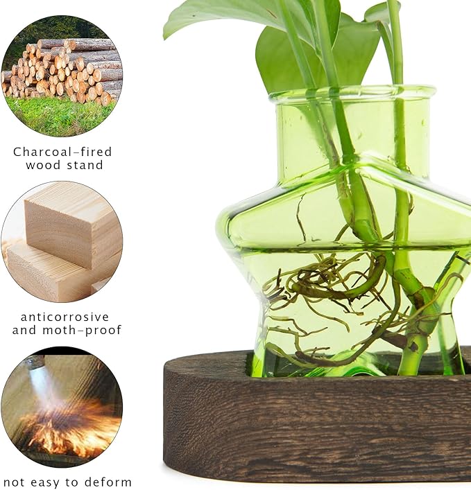 XXXFLOWER Plant Propagation Station with Wooden Stand，Air Plant Terrarium Starter Kits Star Vases for Flowers Plant Cutting Rooting Pots Indoor Hydroponic Glass Planter for Plant Lovers,3 Jars(Green)