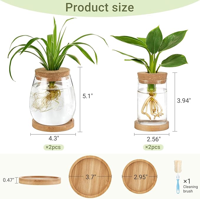 Dahey 4 Pcs Plant Propagation Stations Desktop Propagated Plant Jars Terrarium Glass Planters with Wooden Base and Lid Hydroponic Vase for Indoor Plants Tabletop Home Office Decor