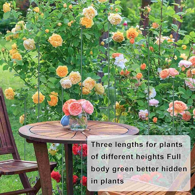 36 Inch Plant Sticks Support Tall Three Sizes (12 or 24 or 36 Inch), 8 Pcs 4.5mm Adjustable Outdoor and Indoor Plant Support, Garden Stakes for Plants Flowers Rose Tomatoes Peony Lily Rose Amaryllis