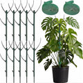 10 Pack Stackable Monstera Plant Support Stakes, Plant Sticks Support Tall for Pothos Climber, Plant Support Garden Stakes for Indoor & Outdoor Pots, Essential Monstera Support for Climbing Vines