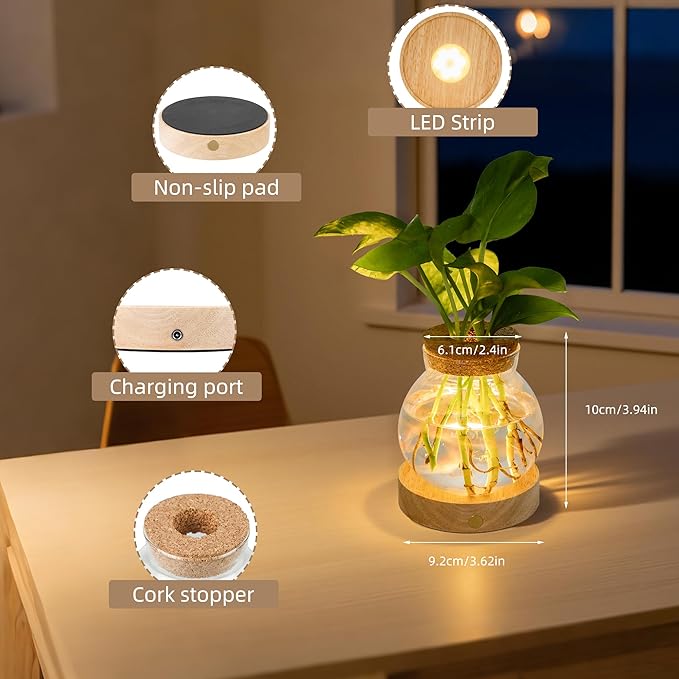 Plant Propagation Station with Light,Everkeen Valentines Day Glass Terrarium with Stepless Dimming Function Hydroponic Glass Container Vase Jars Gardening Gifts for Mom Women Plant Lovers
