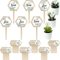48 Pcs Let Love Grow Succulent Tags Wedding Favors Hexagon Wooden Plant Stakes Label Garden Marker Plant Sign for Wedding Gift Thanksgiving Baby Shower Seed Potted Flower Garden (Love Style)