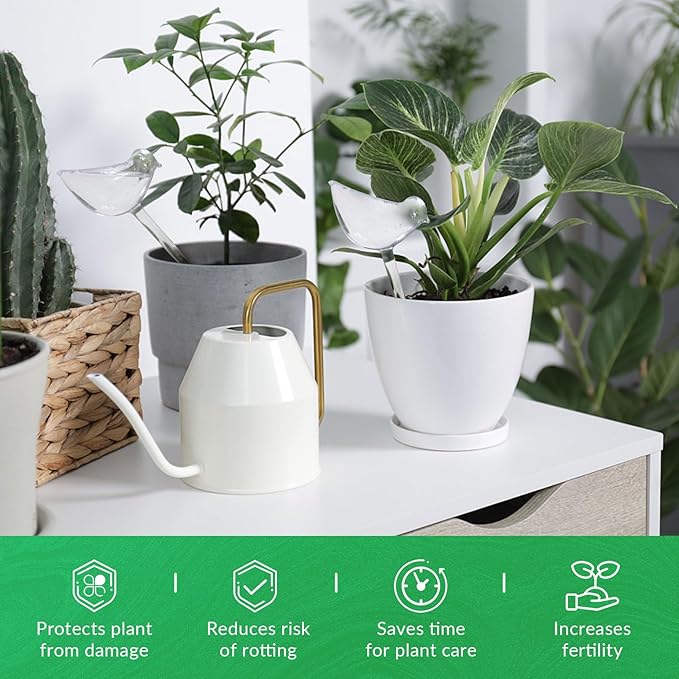 jabrand 6pcs Self Watering Planter Insert Bird Shape, Clear Plant Watering Globes Spike Devices for Indoor Outdoor Plants, Gift for Plant Lovers