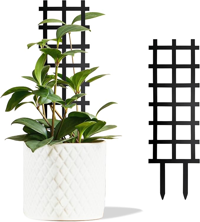 Metal Ladder Indoor Plant Trellis,14.96 inch Metal Plant Trellis for Climbing Plants Indoor.Rustproof House Plant Support for Pothos Hoya Ivy Flower