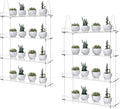 2-Pack Adjustable Clear Acrylic Plant Stands for Windows – 16" Transparent Hanging Window Plant Racks for Indoor Garden, Herbs, or Home Decor in Kitchen & Bedroom
