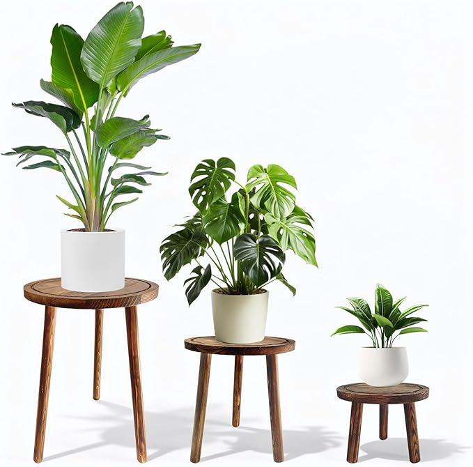 Janedream 3-Pack Wooden Plant Stands, Indoor Small Plant Stool Set, Multi-Purpose Single Plant Table for Living Room, Balcony, Office & Corner Display