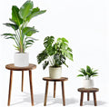 Janedream 3-Pack Wooden Plant Stands, Indoor Small Plant Stool Set, Multi-Purpose Single Plant Table for Living Room, Balcony, Office & Corner Display