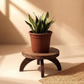 Novabright 1 Pcs Short Plant Pedestal Wood Plant Stool Round Low Wood Riser Pedestal Display Decor Flower Indoor Outdoor Rustic Farmhouse Table Balcony Decor Board Flower Holder Rise (Rustic Color)