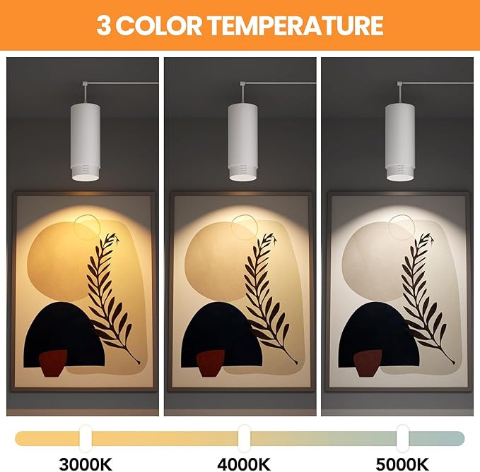 Zoomable Remote Pendant Grow Lights with Auto On/Off Timer, 30W Full Spectrum LED Plant Light 2700K-6000K Dimmable Plug in Hanging Lights for Indoor Plants 20FT Power Cord, White